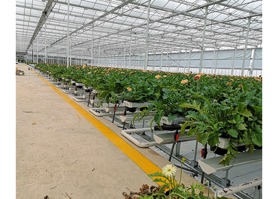  鮮切栽培槽種植系統